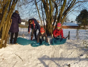 winter 2016 009