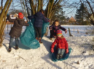 winter 2016 011